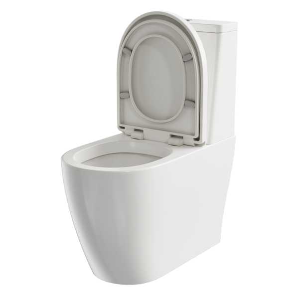 One-Piece Toilet Model