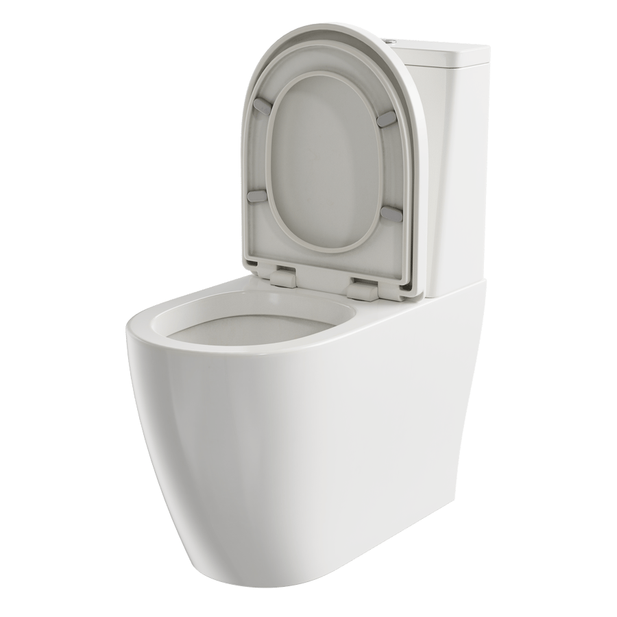 One-Piece Toilet Model