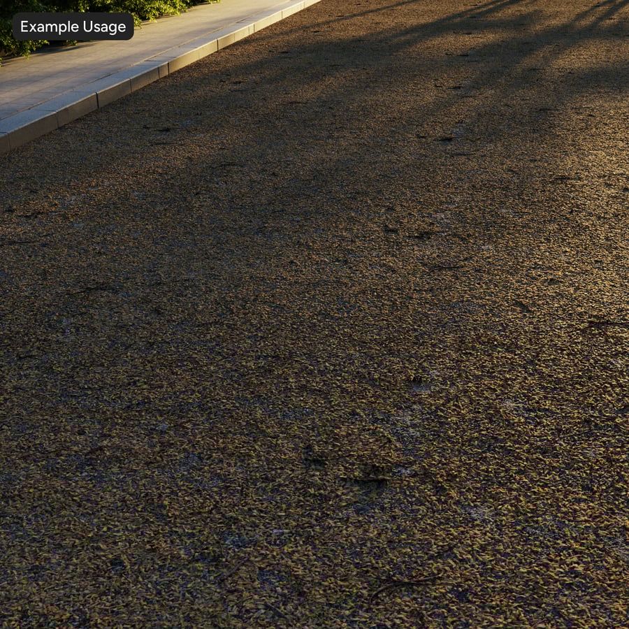 Autumn Leaves on Compact Gravel Texture