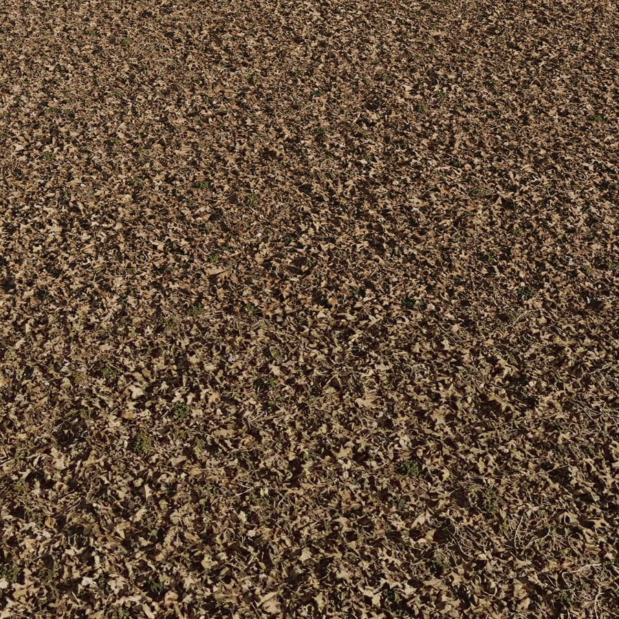 Dead Leaves with Grass Patches Texture