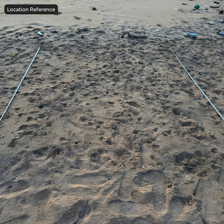 Footprints on Beach Sand Texture