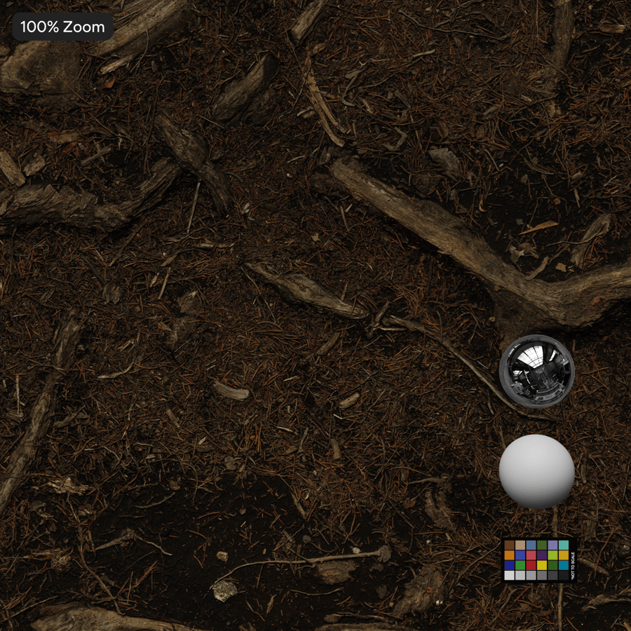 森の地面の木の根のテクスチャー