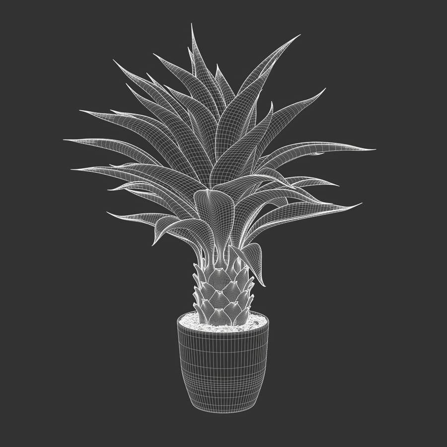 Agave Plant Succulent Potted Plant Model