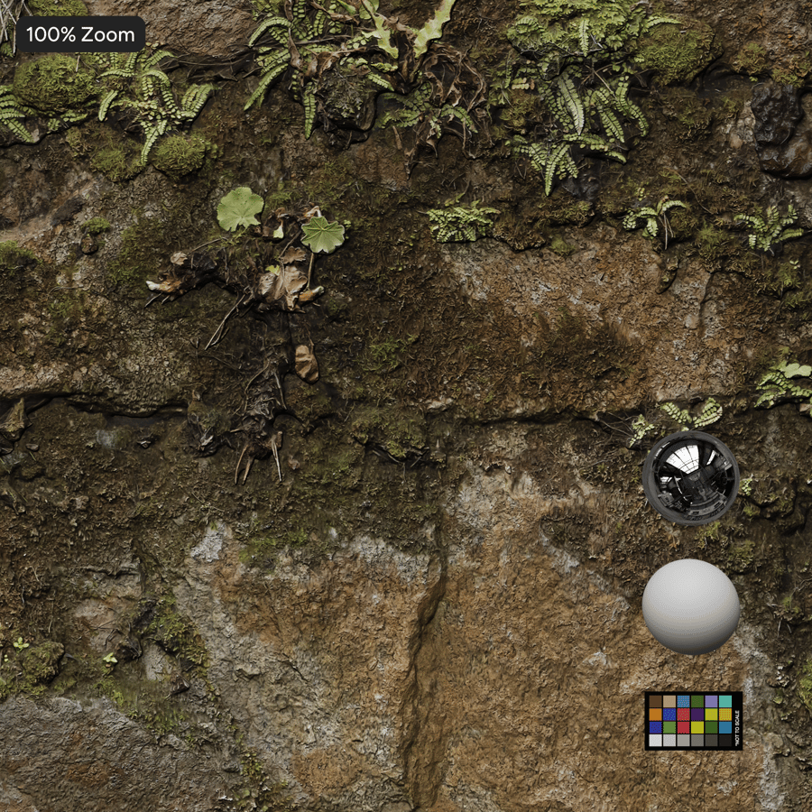 Machové buriny na kamennej stene