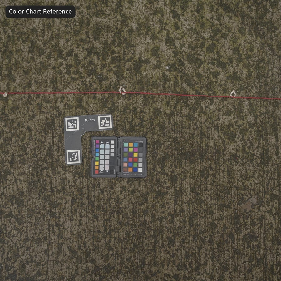 이끼 낀 빗자루 마감 콘크리트 텍스처