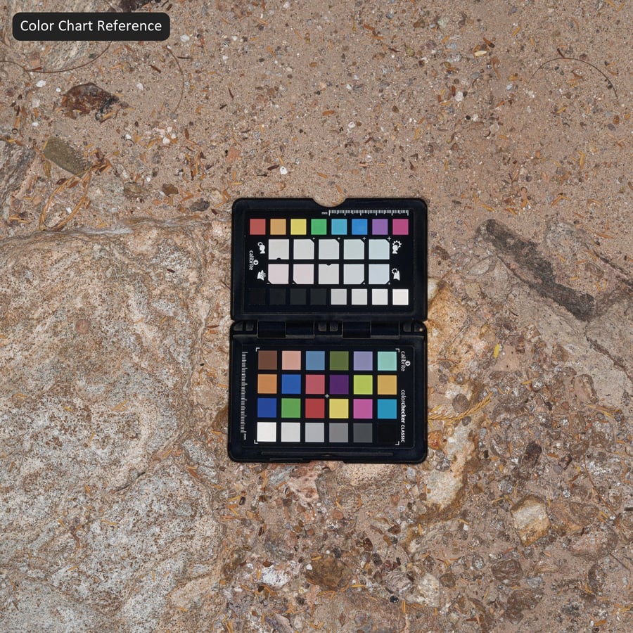 Mixed Rocks on Ground Texture