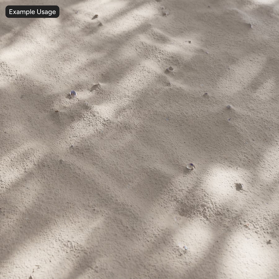 Textura de conchas na areia