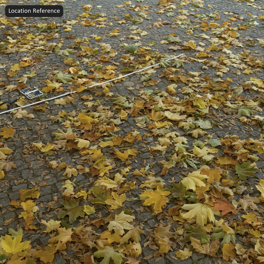 Fallen Leaves Decal Texture