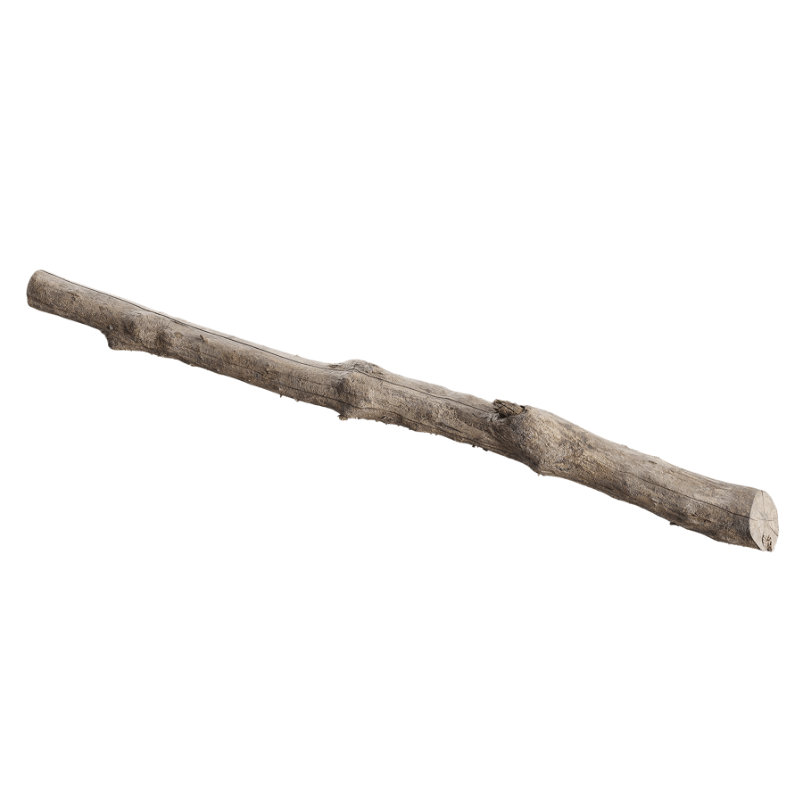Long Bare Cut Log Model