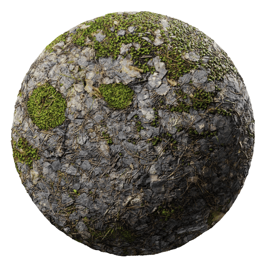 Ground Forest Mossy 003