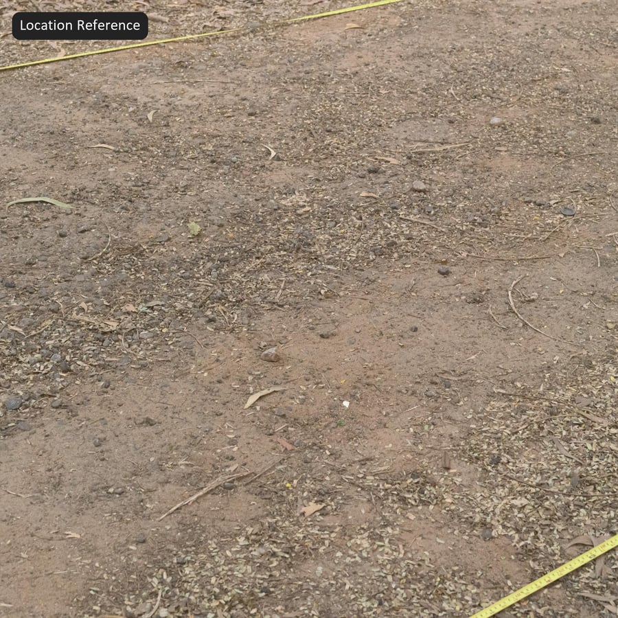 Textura de Trilha de Floresta Compactada, Marrom Avermelhado