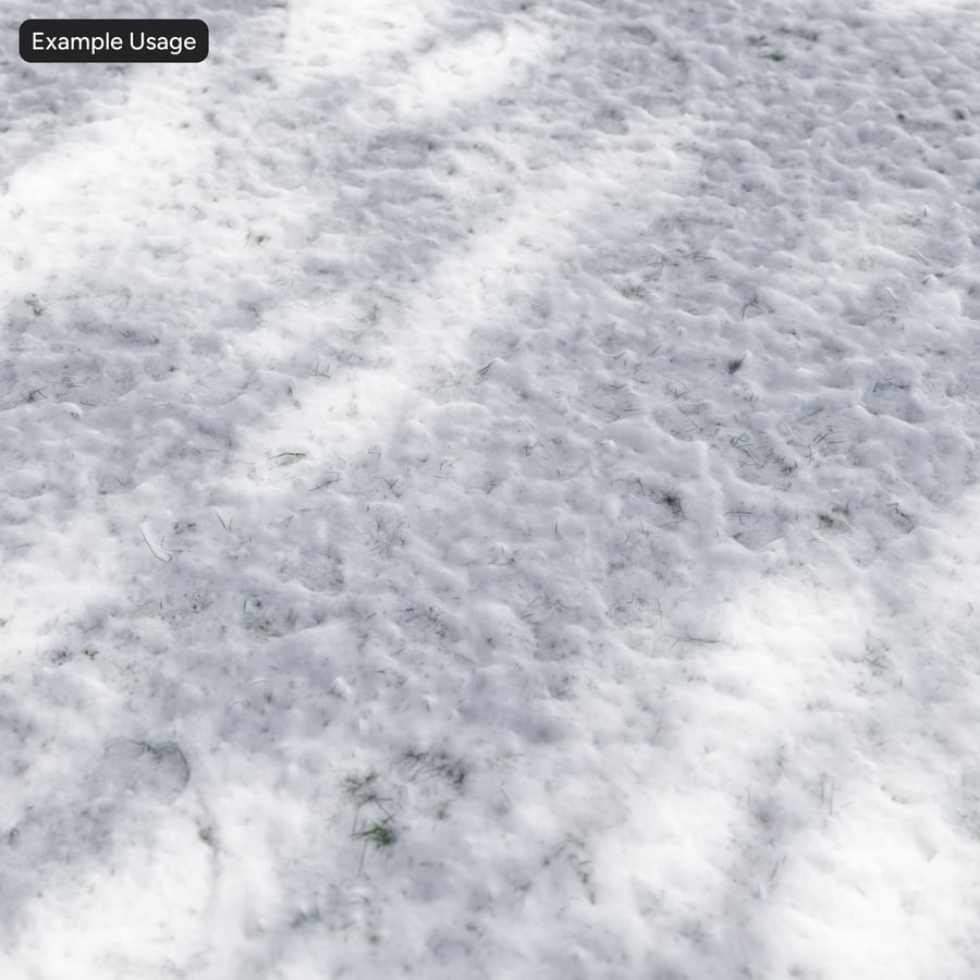 Snowy Grass Texture