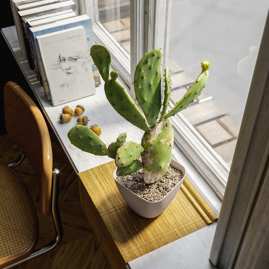 Imperfect Prickly Pear Cactus Potted Plant Model