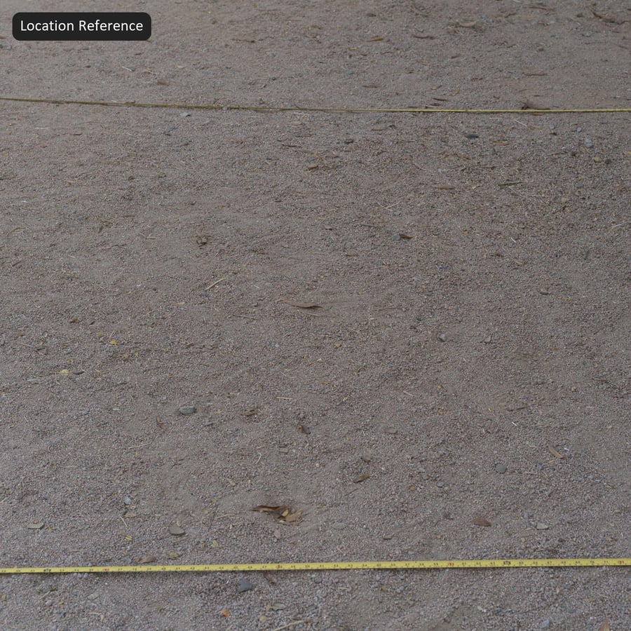 Мусор на гравии