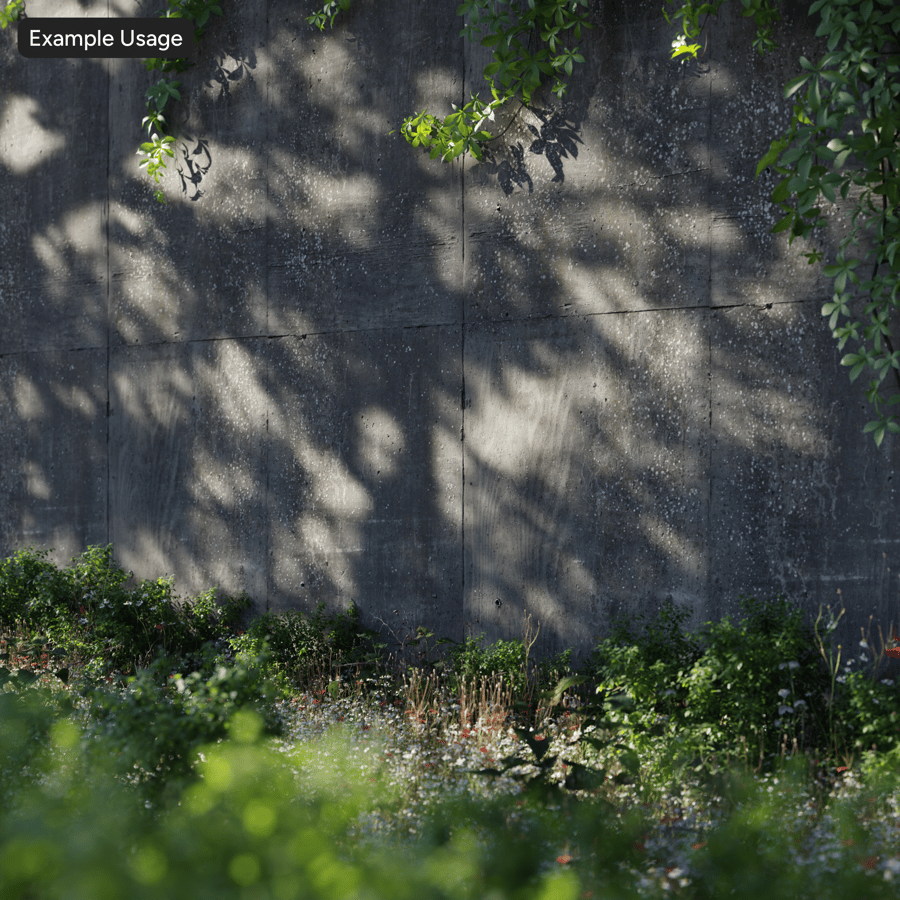 Lichen Covered Concrete Retaining Wall Texture