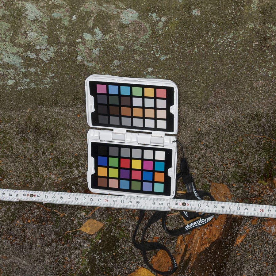 Textura de rocha de penhasco coberta por musgo pesado