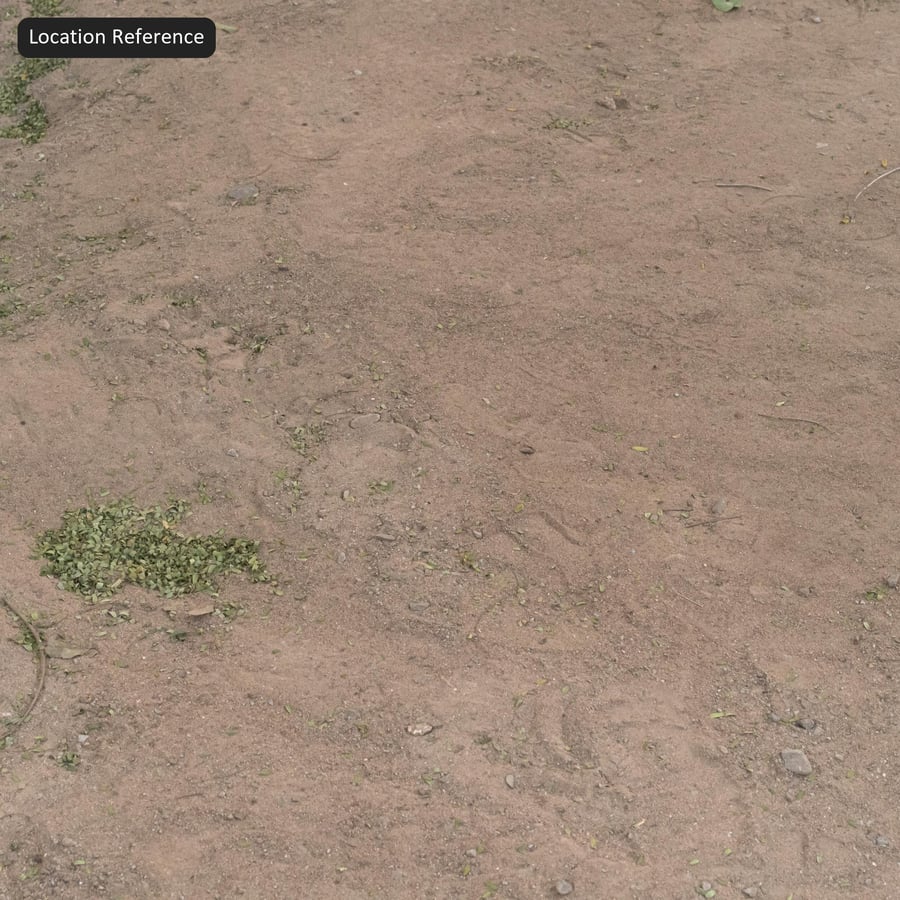 Textura de solo de terra compactada, bege arenoso