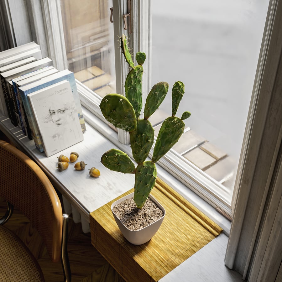 Watered Prickly Pear Cactus Potted Plant Model