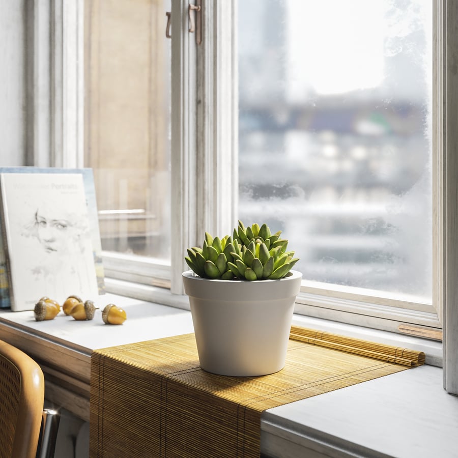 Planta suculenta de agave bebê em vaso modelo
