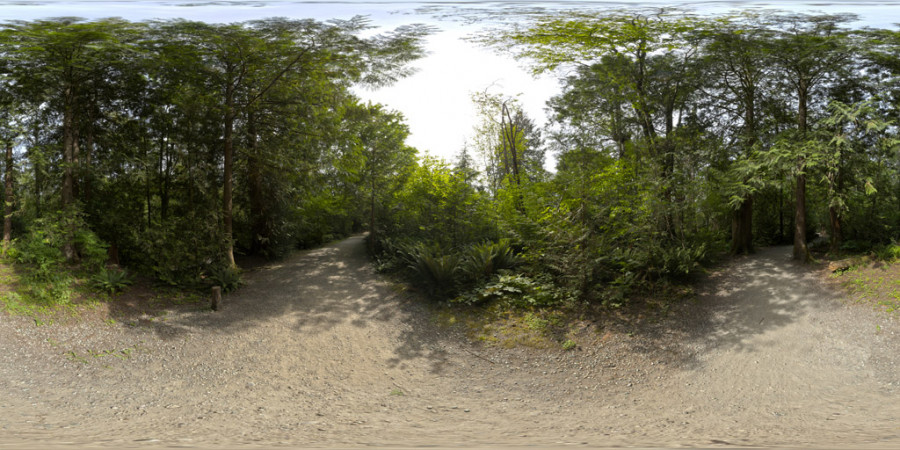 Park Forest Trail Hazy Day Outdoor Sky HDRI