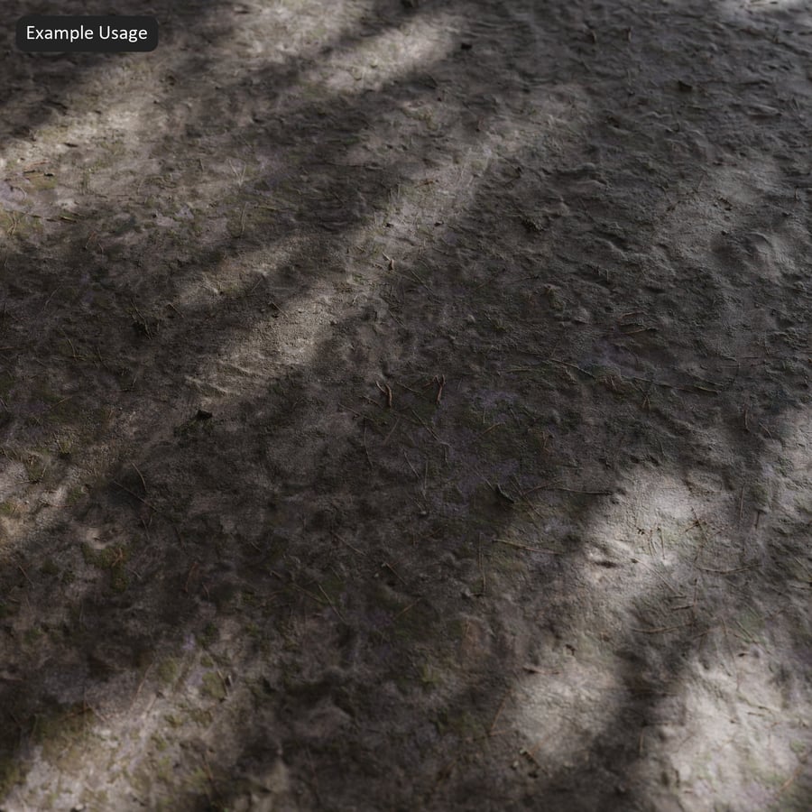Muschioso con foglie cadute Texture terreno in cemento