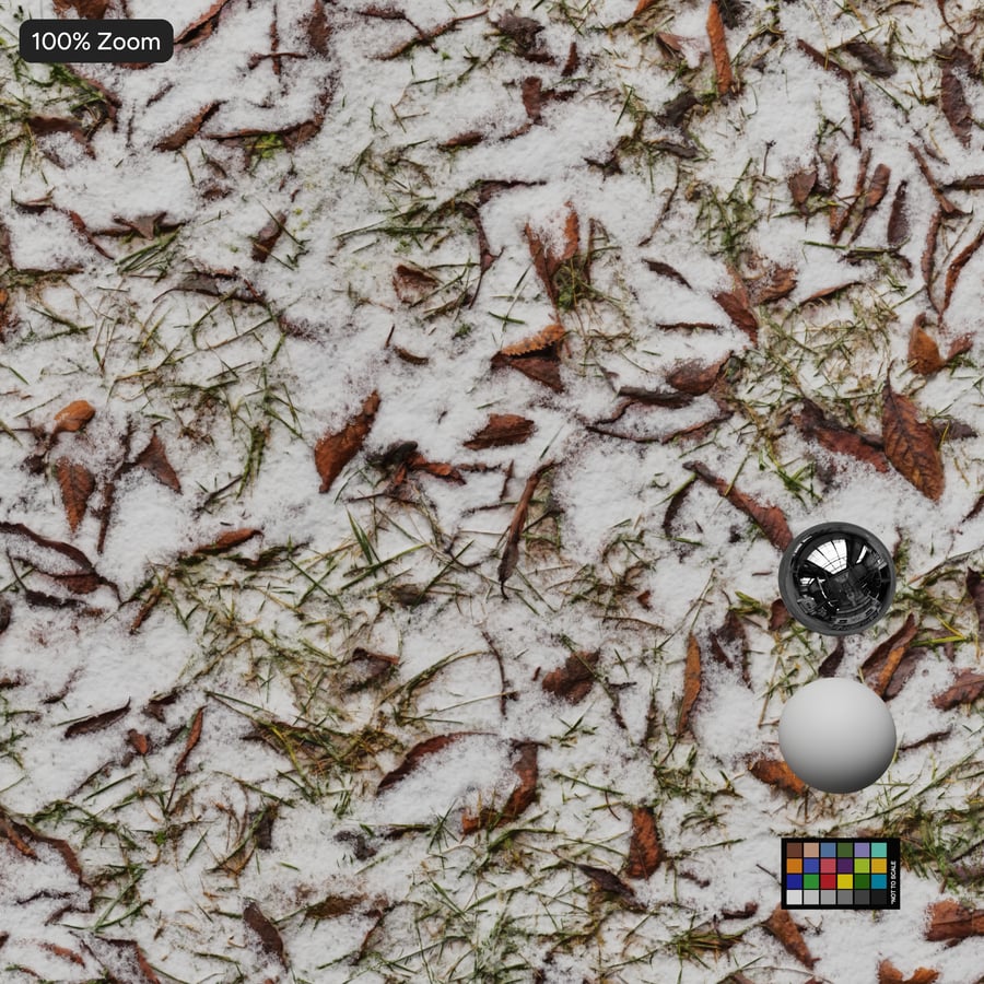 Folhas espalhadas e textura de neve