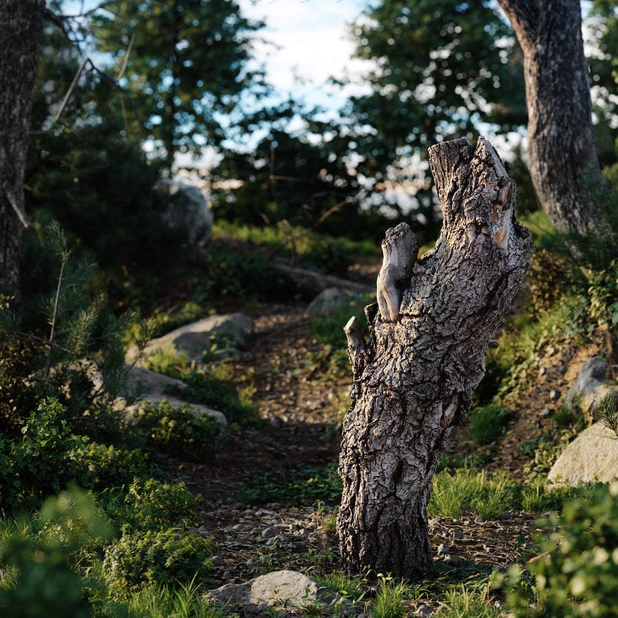 Tall Gnarly Cut Oak Stump Model