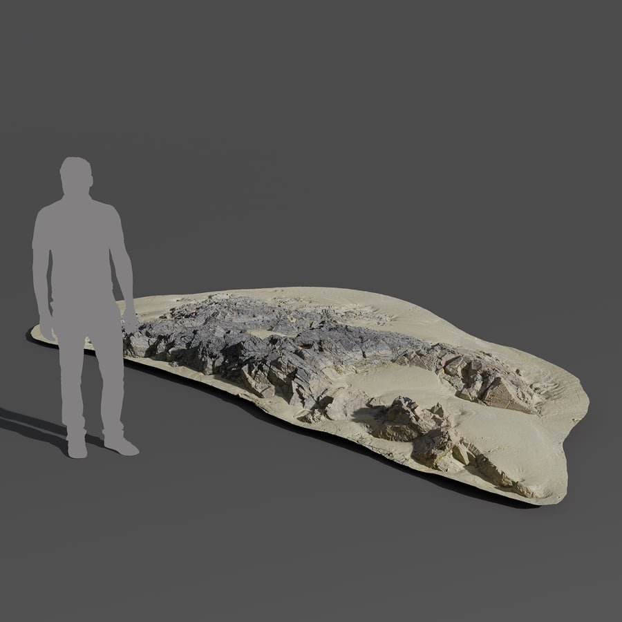 Large Low Jagged Beach Rock Model