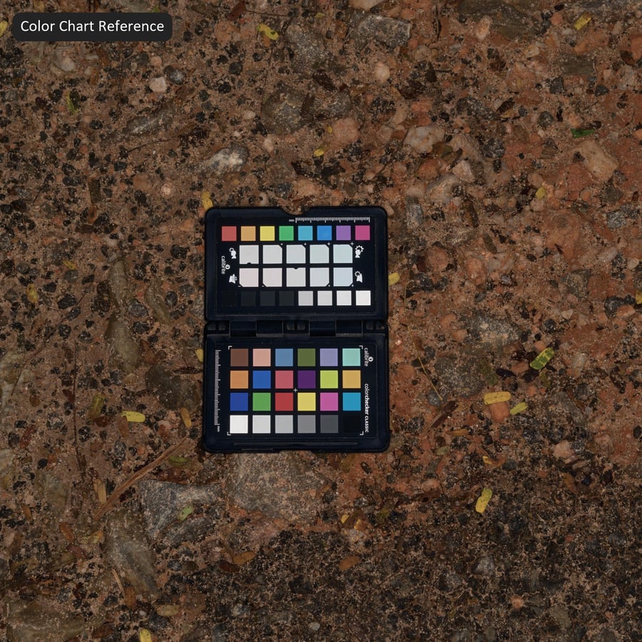 Medium Gravel on Forest Floor Texture