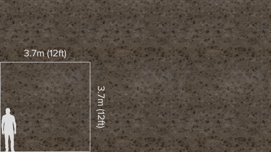 Textura de pegadas na areia húmida, cinzenta