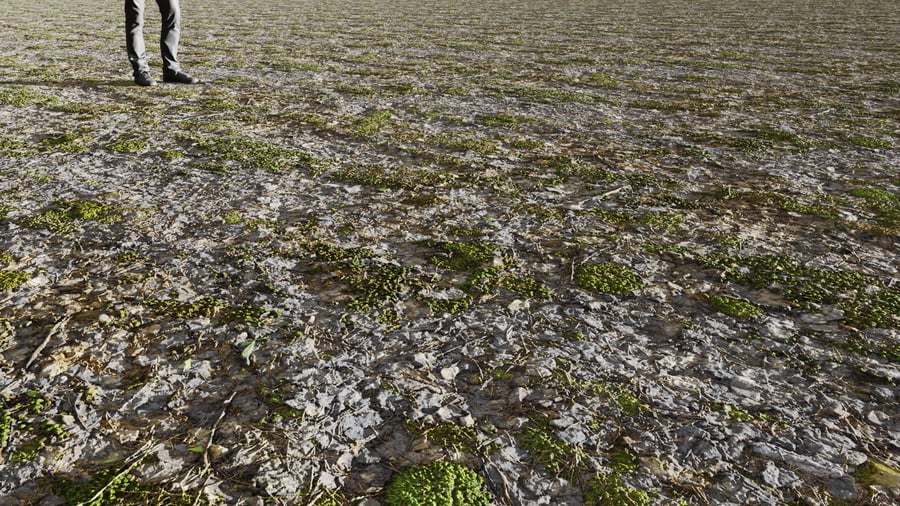 Casca em decomposição em textura de floresta musgosa irregular