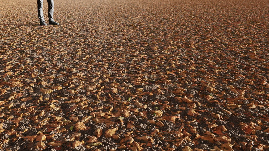 Broken Maple Leaves & Dirt Ground Texture