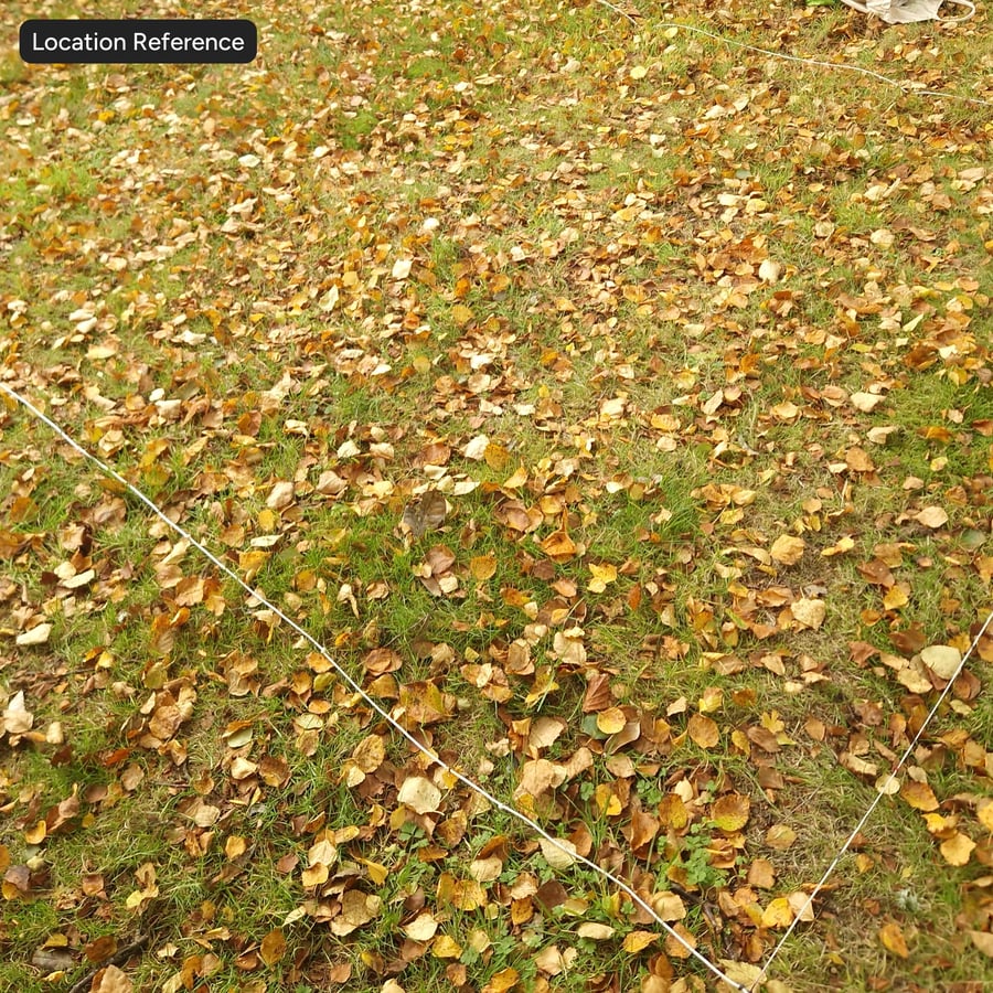 Herfstbladeren op grasgrondtextuur