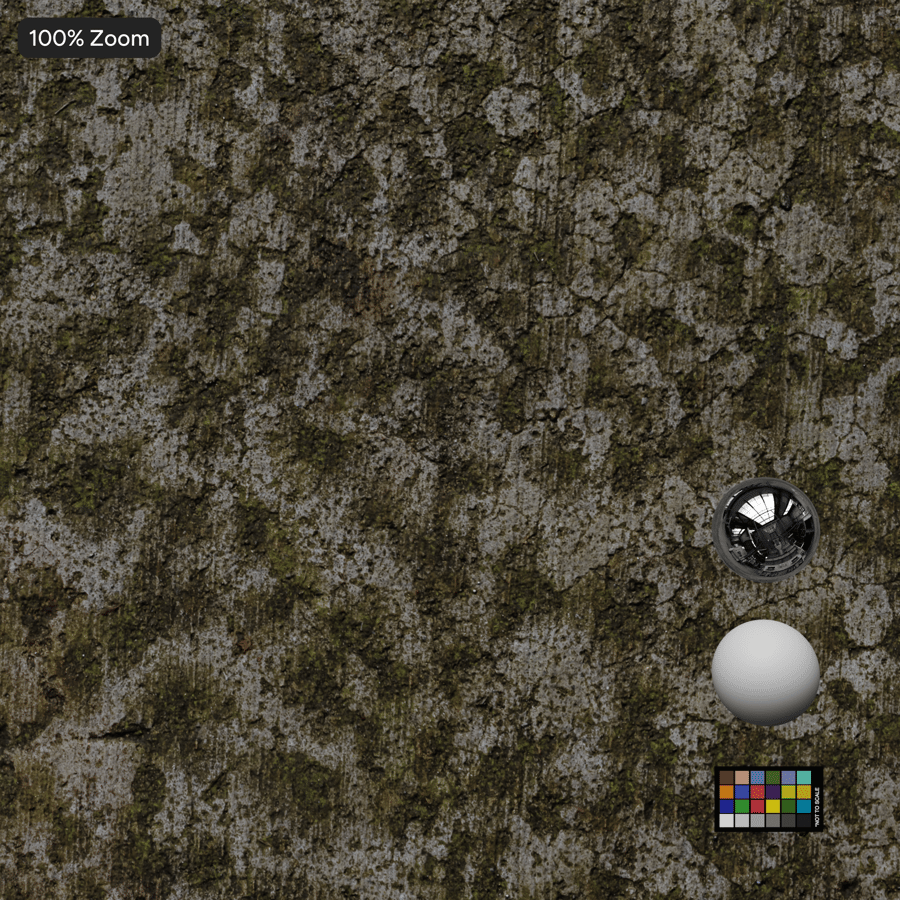 이끼 낀 빗자루 마감 콘크리트 텍스처