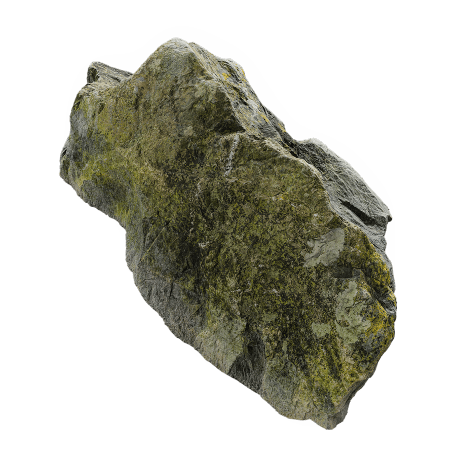 Medium Lichen Covered Beach Rock Model