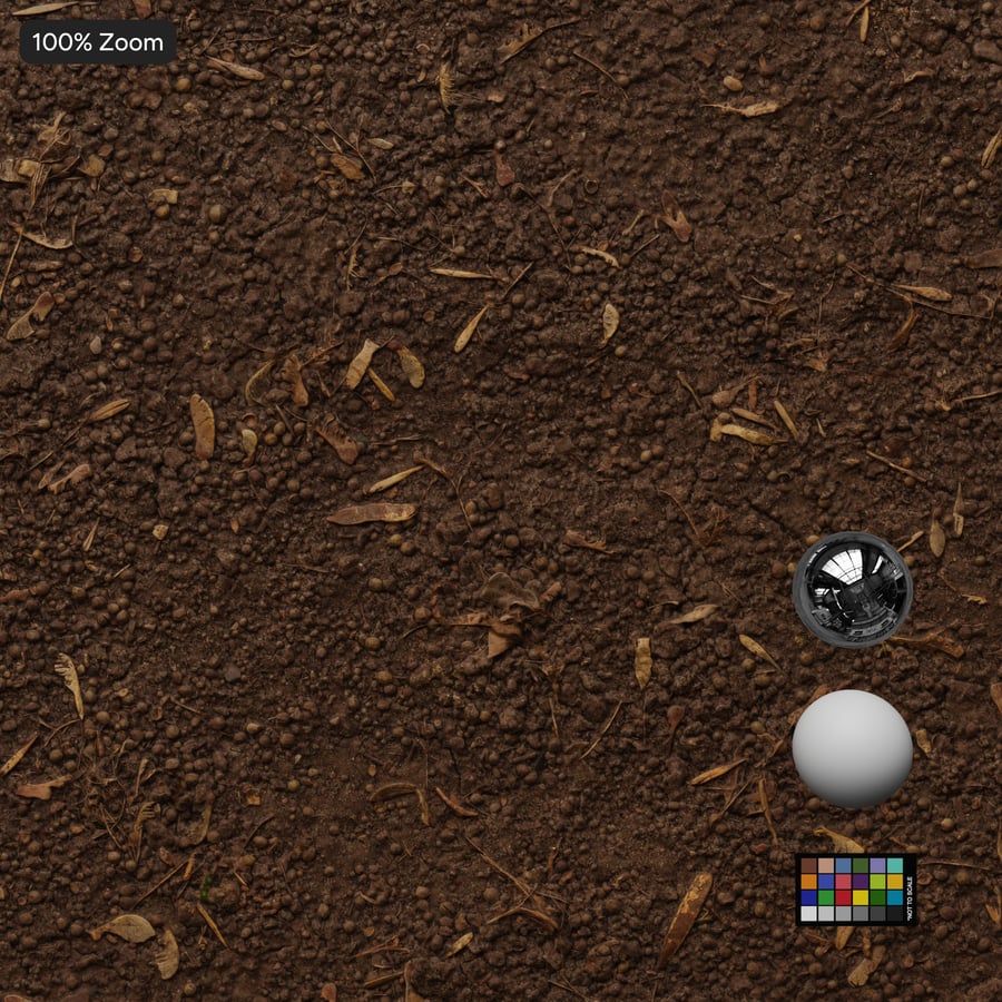 Dry Dirt Forest Texture, Brown
