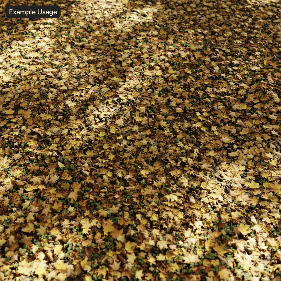 Őszi juharlevelek és lóhere fű textúra