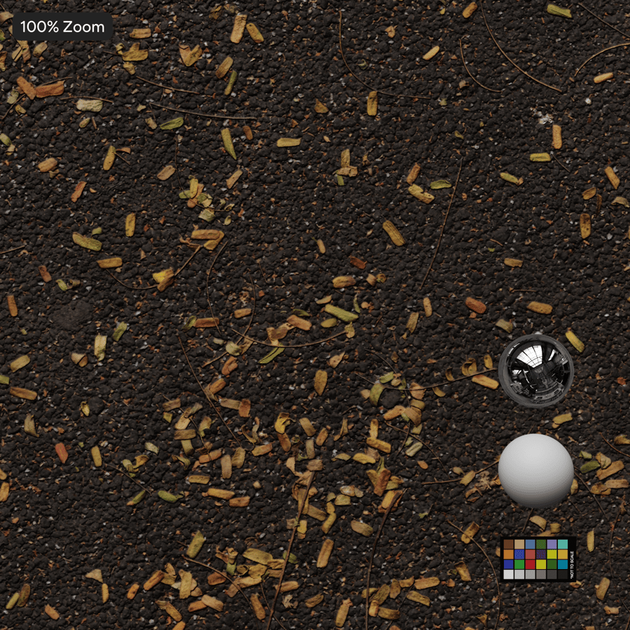 Texture de feuilles mortes sur asphalte, gris