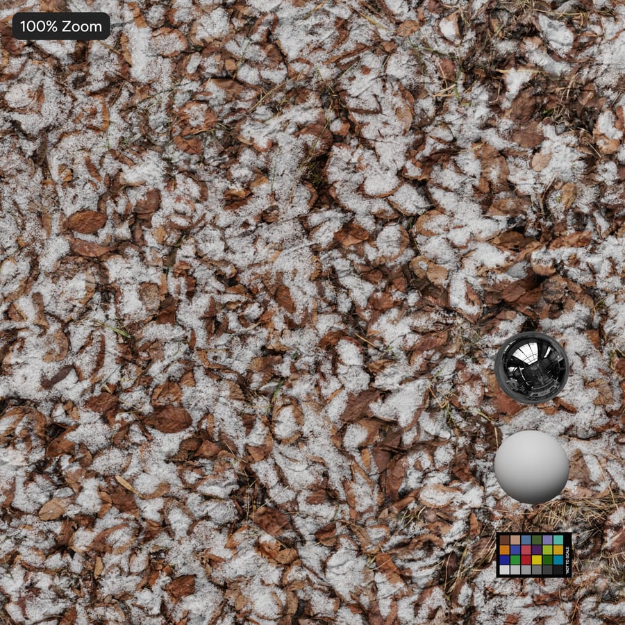 Textura de folhas na neve