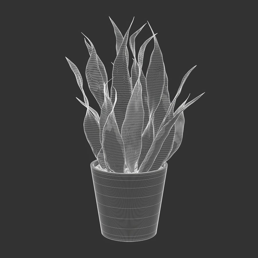 Short Snake Plant Potted Plant Model