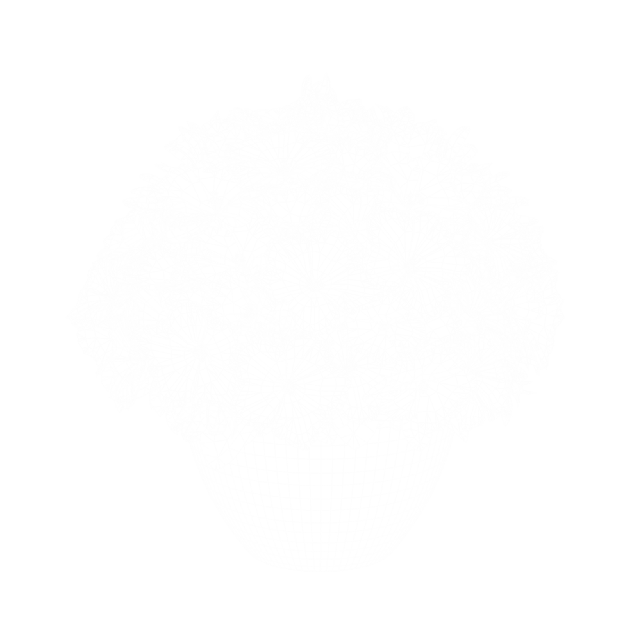 Modelo de planta petúnia