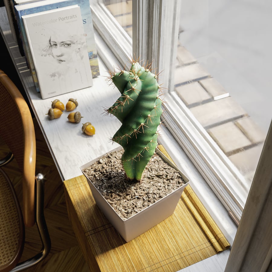 Modelo de planta em vaso Cacto Espiral