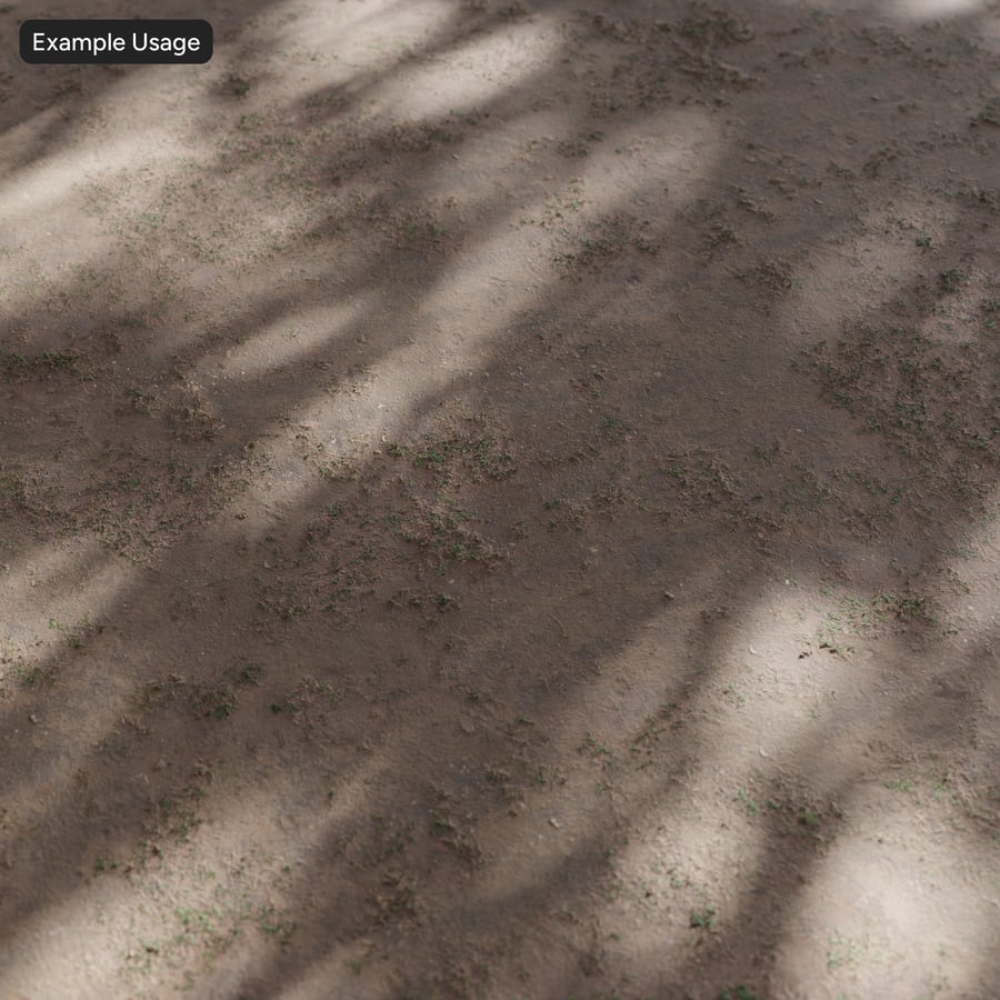 Texture d'herbe parsemée sur sol en terre battue