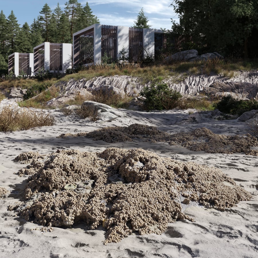 Medium Barnacle Covered Beach Rock Model