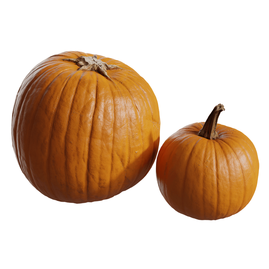 Medium Pumpkin Models Collection