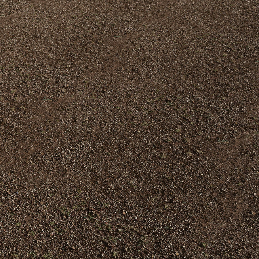 Fine Rocky Dirt Ground Texture