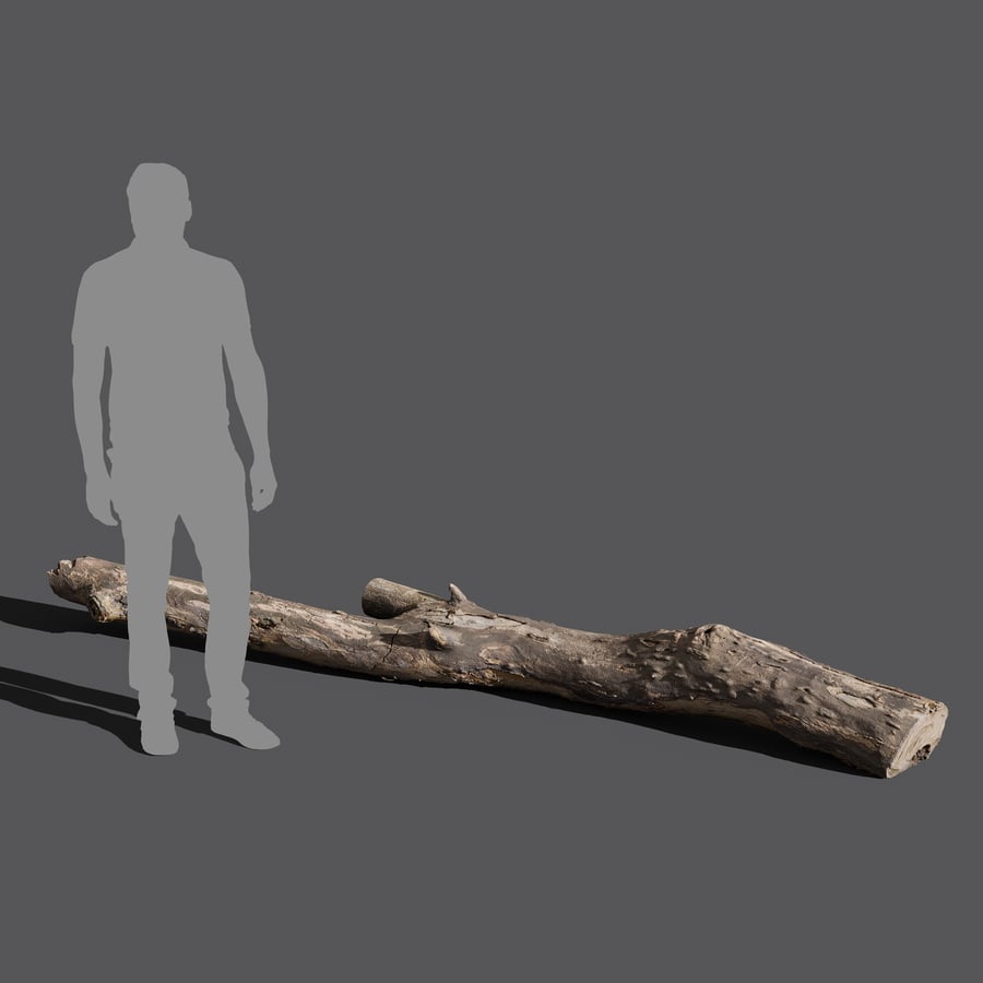 Large Split Bare Log Model