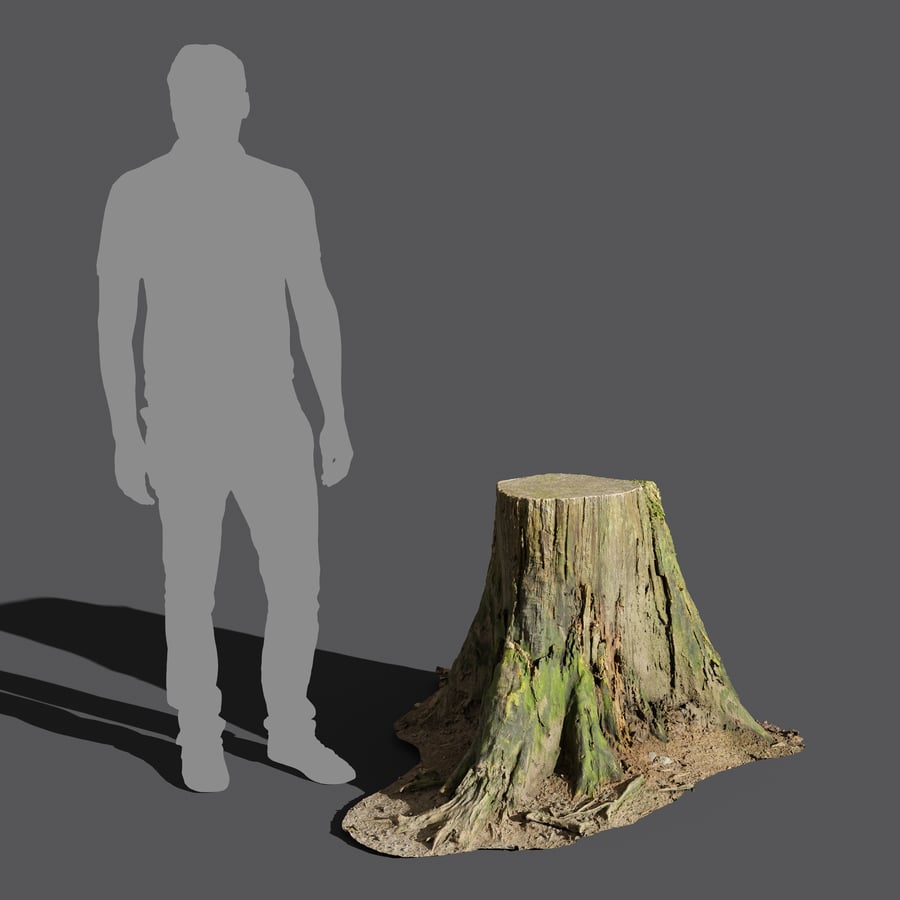 Short Cut Mossy Forest Stump Model