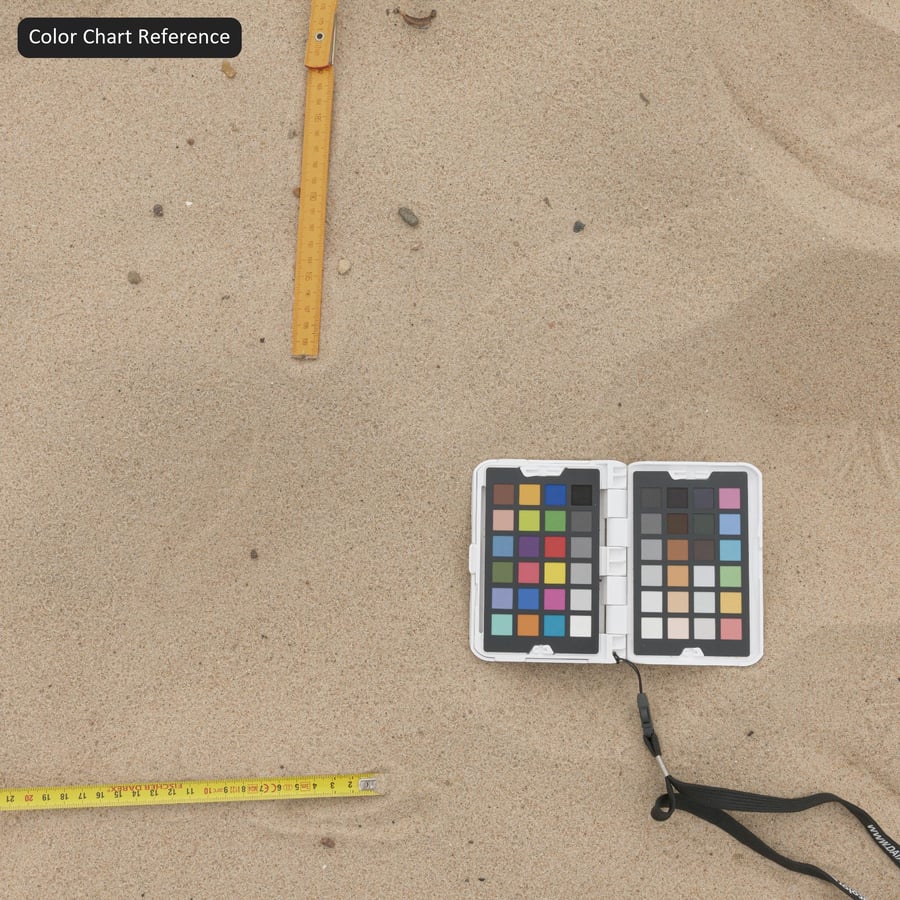 물결치는 모래 텍스처의 발자국