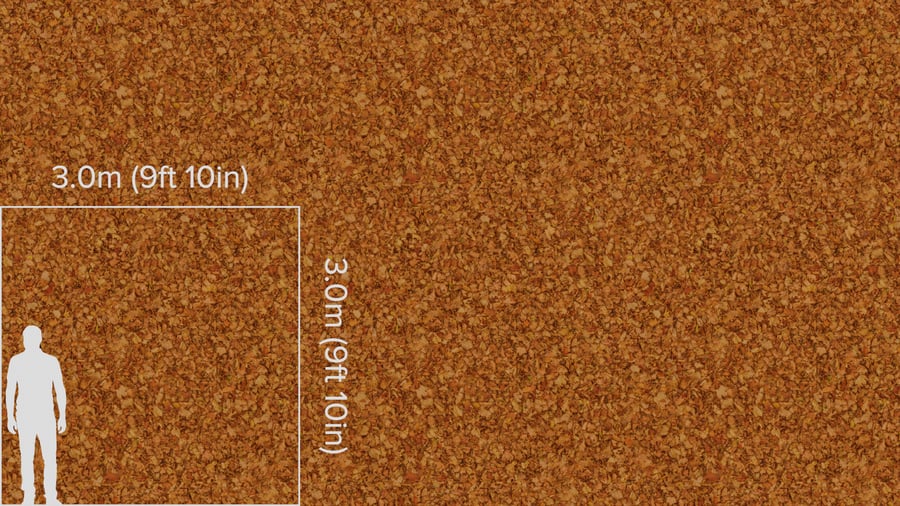 Dried Maple Leaves Texture